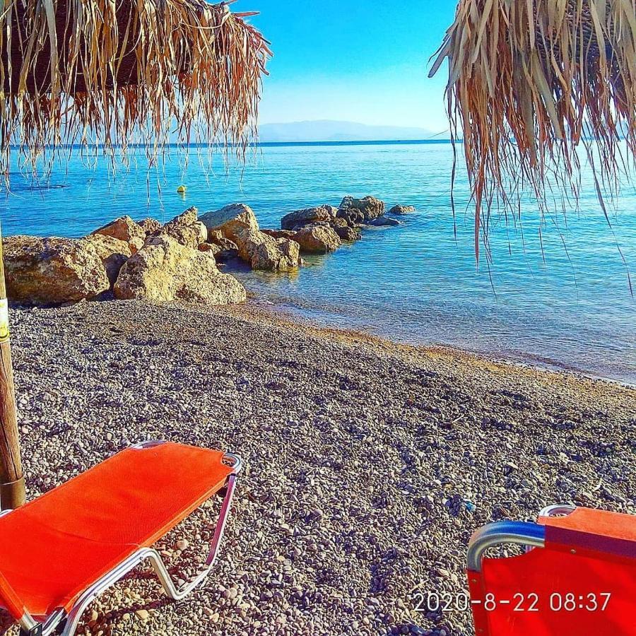 科库宁 Marzi Beach And Bungalows酒店 外观 照片