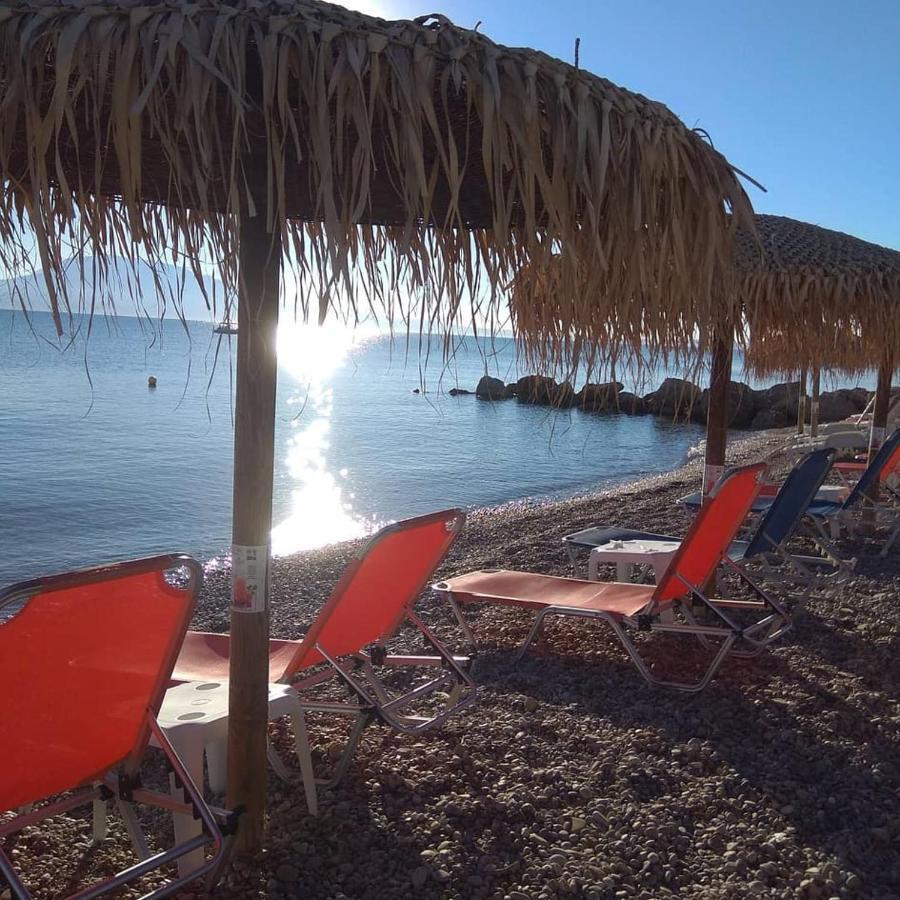 科库宁 Marzi Beach And Bungalows酒店 外观 照片